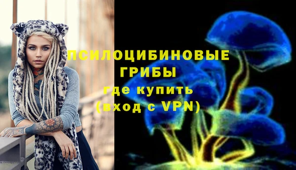jwh Вяземский