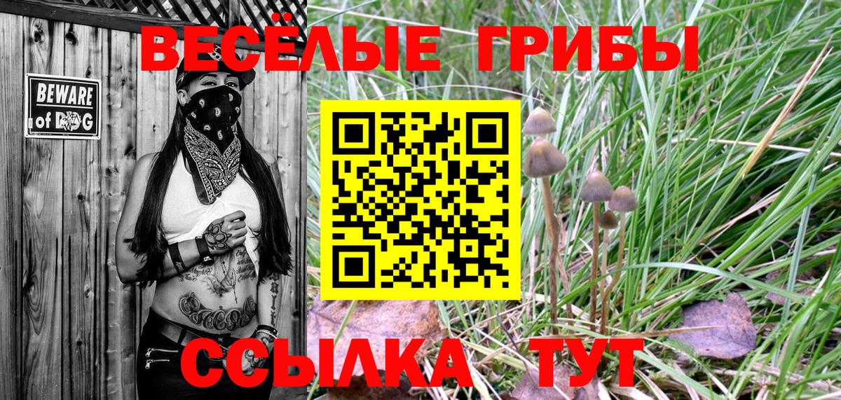 Нефтекамск  Псилоцибиновые грибы Psilocybine cubensis  Вход с VPN  Псилоцибиновые грибы ЛСД 